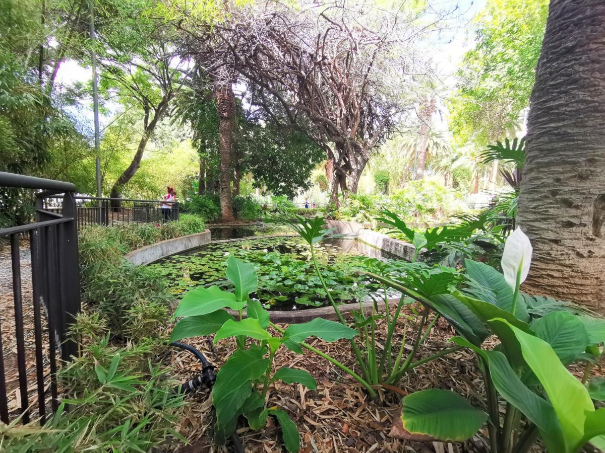 Appartement Home2book Bright Center Cruz, Wifi